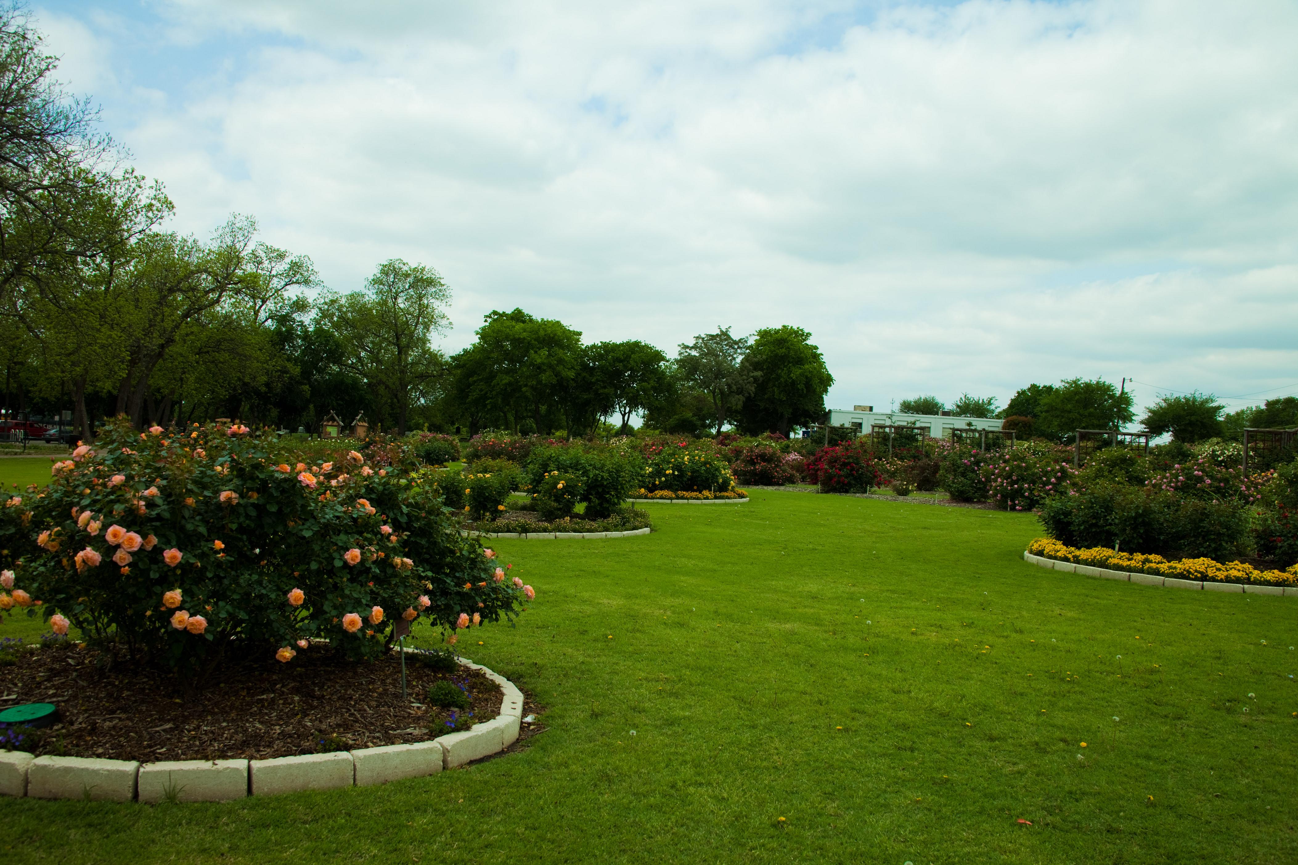 lawn care and garden maintenance newton abbot